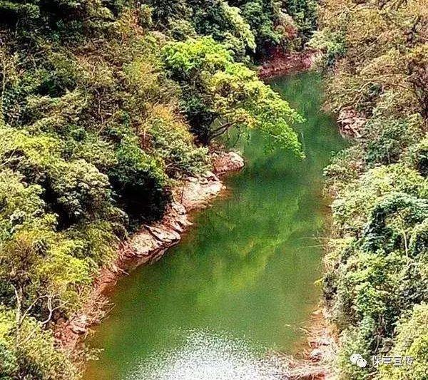 拯救精灵的土地6